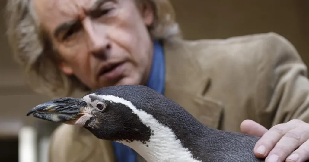 Lecciones de un pingüino